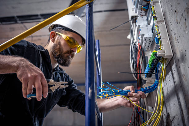 Best Electric Panel Repair  in Berly, MO